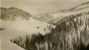 View near Adair, looking westward. January 30, 1917.