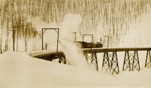 Rotary #20 on Dominion Creek Bridge