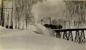 Rotary #20 on Dominion Creek Bridge