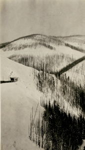 View near Adair, looking westward. January 30, 1917.