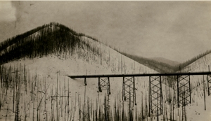 Bridge near Adair from bottom part of Loop. 