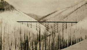 Bridge near Adair from bottom part of Loop. 