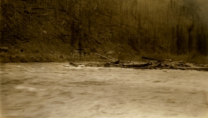 St. Joe River in flood